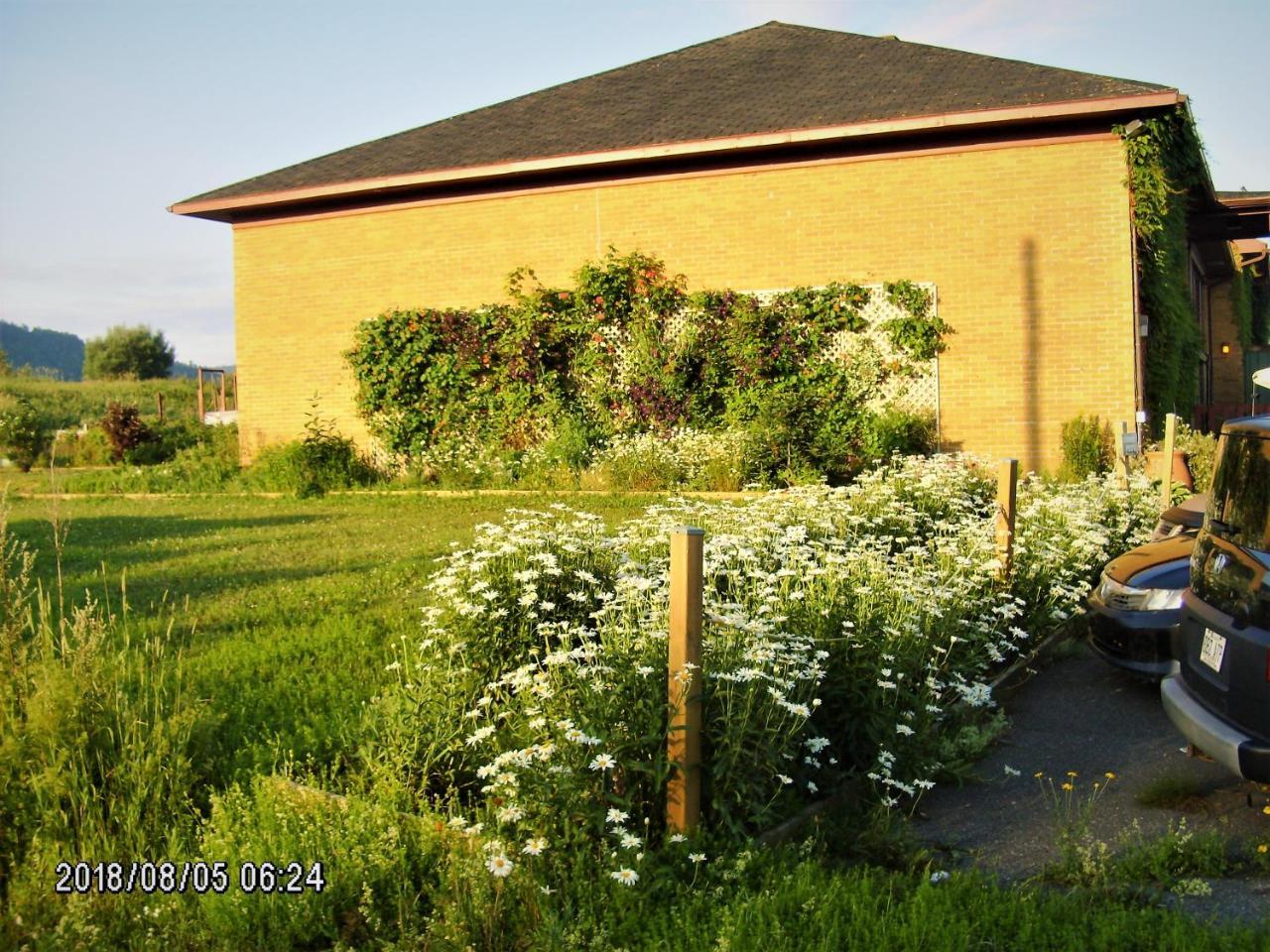 Auberge Internationale La Vieille Ecole Sainte Anne-des-Chênes Exteriér fotografie