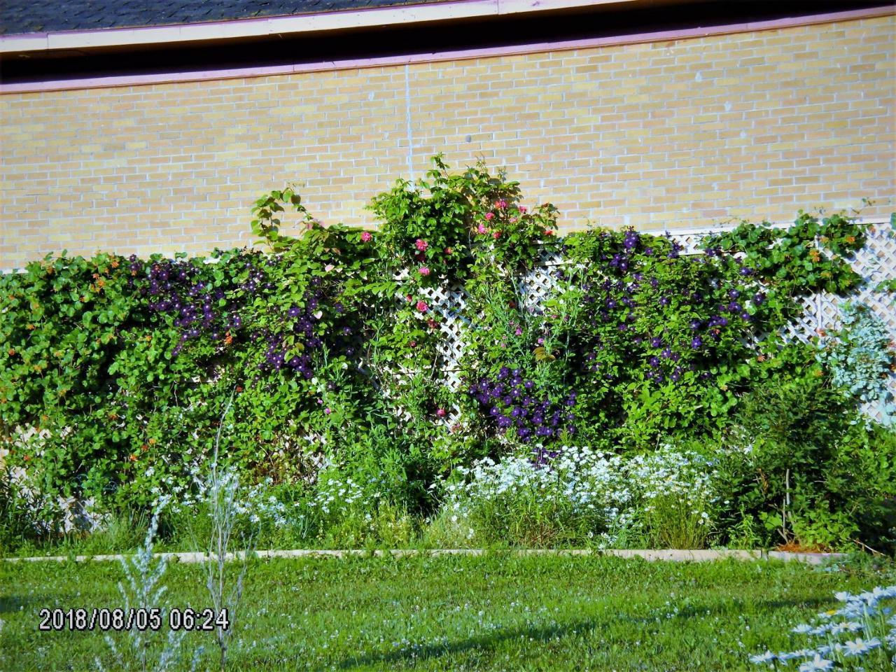 Auberge Internationale La Vieille Ecole Sainte Anne-des-Chênes Exteriér fotografie