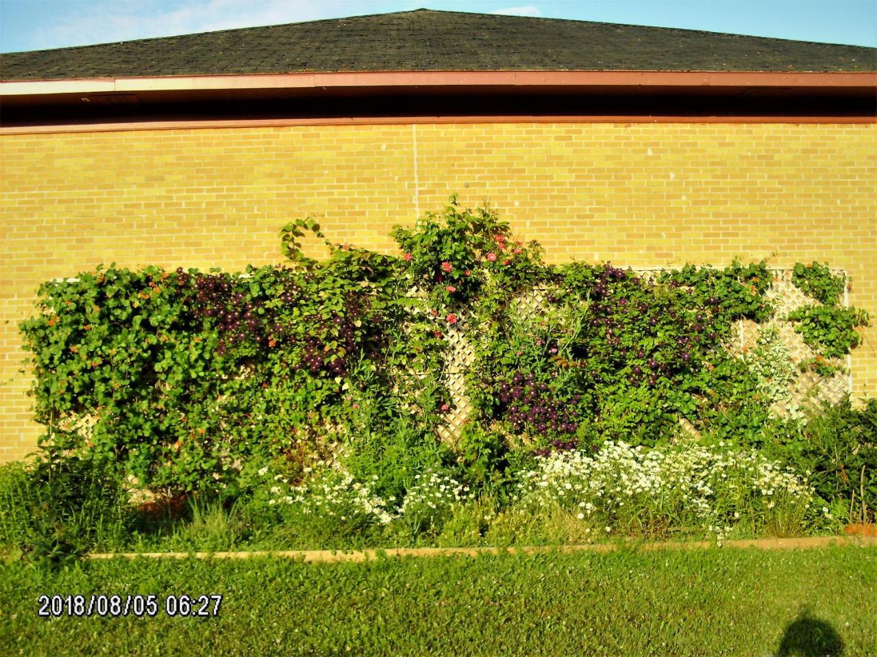 Auberge Internationale La Vieille Ecole Sainte Anne-des-Chênes Exteriér fotografie